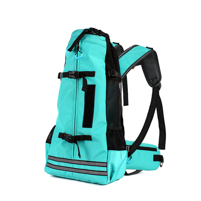 PawVoyage Carrier