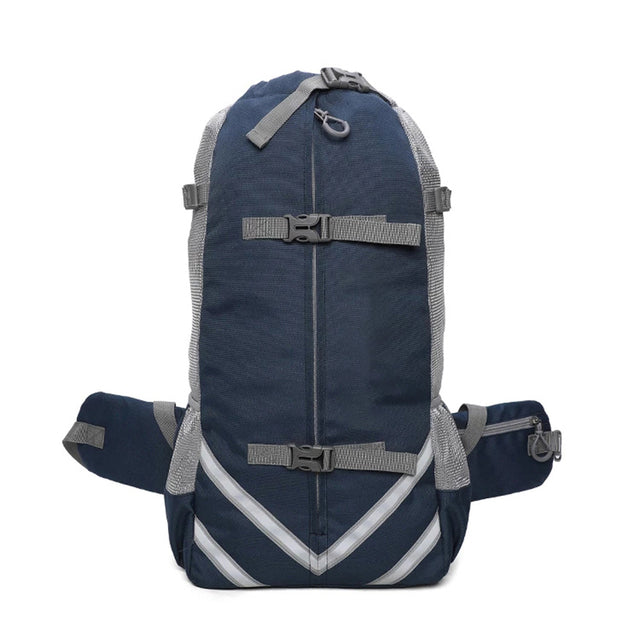 PawVoyage Carrier