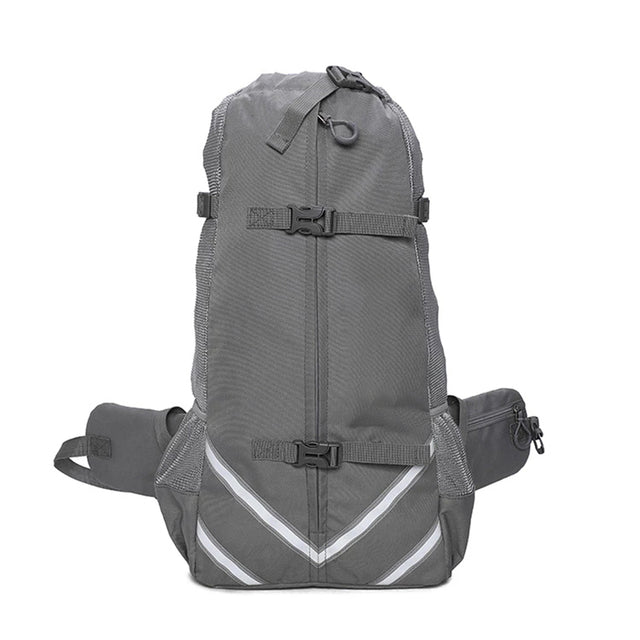 PawVoyage Carrier