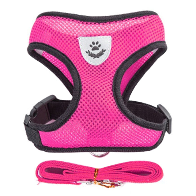 PupStrap Harness