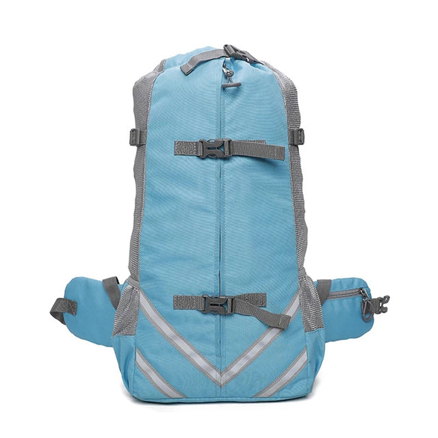 PawVoyage Carrier