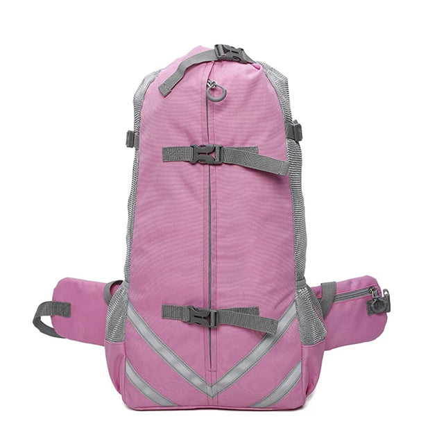 PawVoyage Carrier