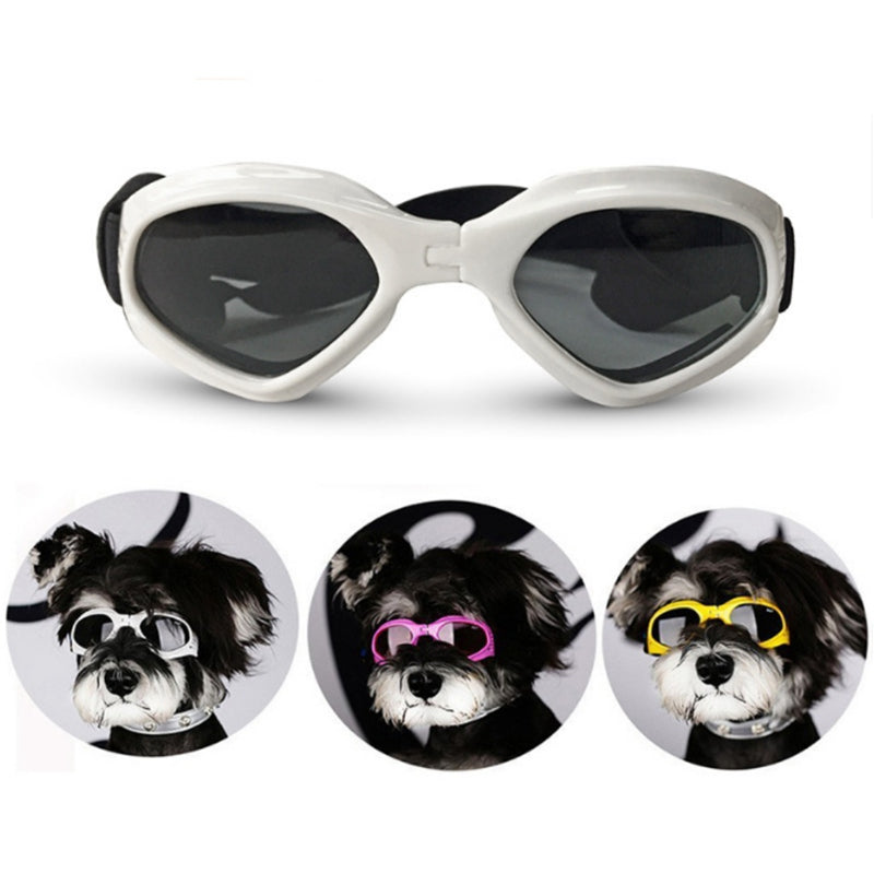 PupShade Sunglasses