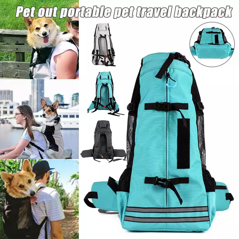 PawVoyage Carrier
