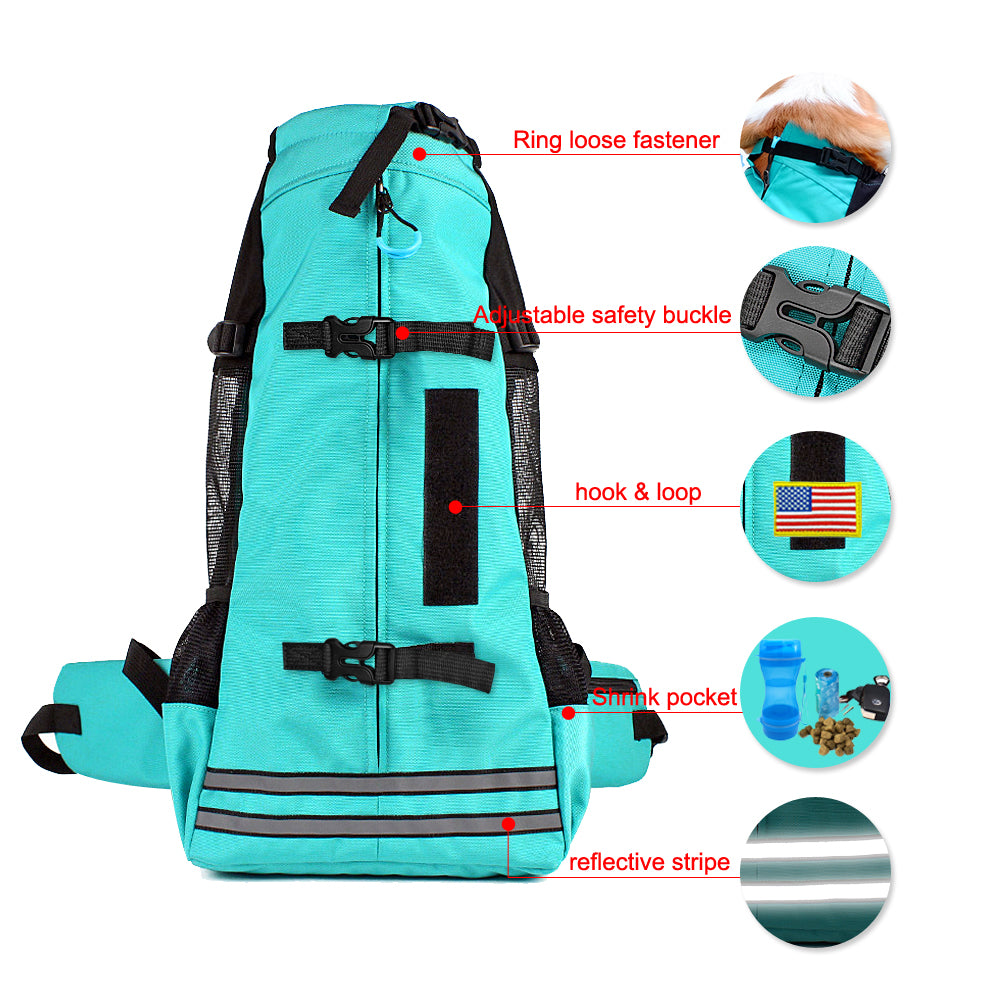 PawVoyage Carrier