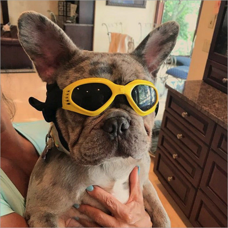 PupShade Sunglasses