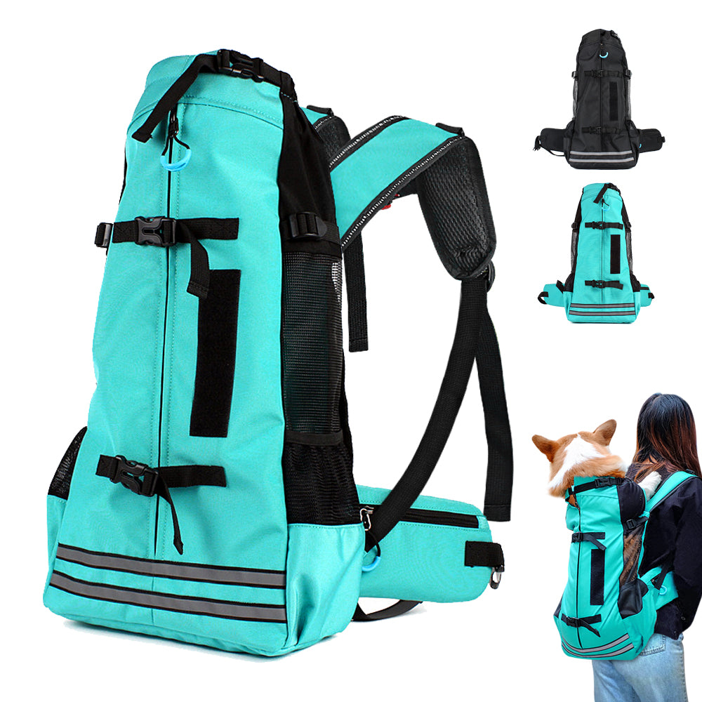 PawVoyage Carrier