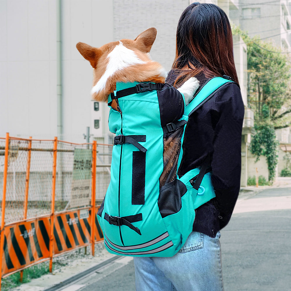 PawVoyage Carrier