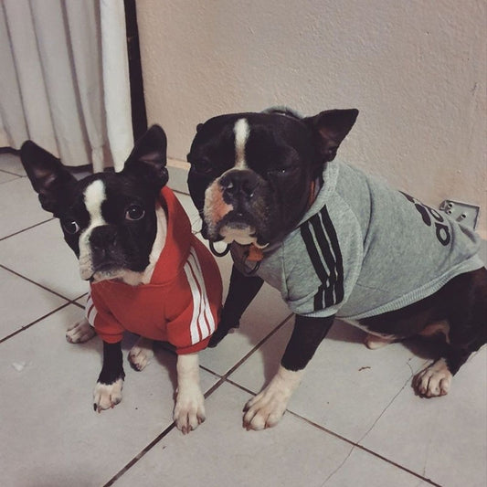 Adidog Hoodies