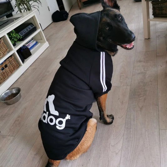 Adidog Sweatshirt