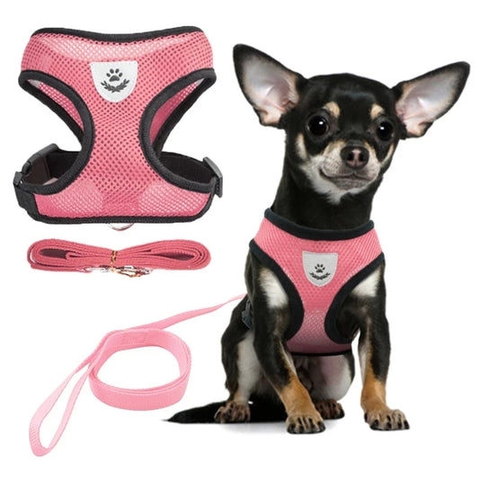 PupStrap Harness