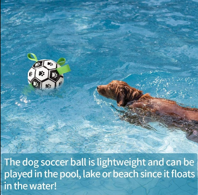 PawPlay Soccer Ball