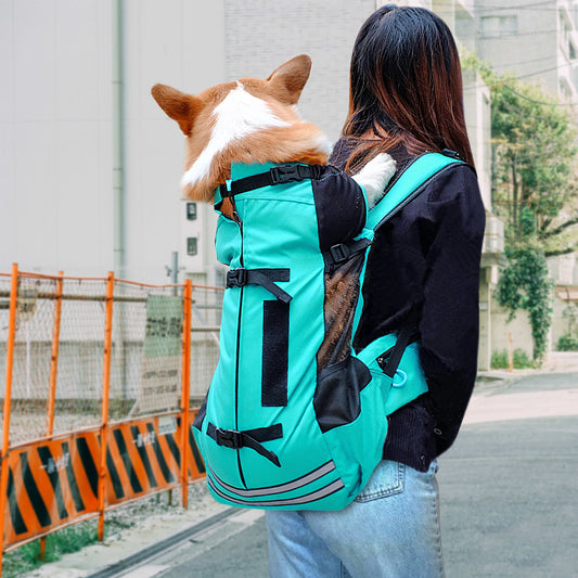 PawVoyage Carrier